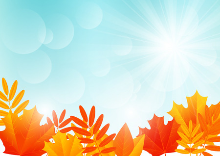 Autumn leaves on sunny backgroundのイラスト素材