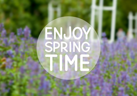 Spring mesh background for Your designのイラスト素材