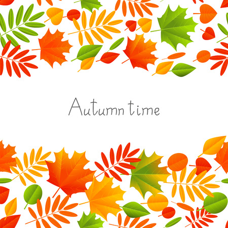 Autumn color leaves on white backgroundのイラスト素材