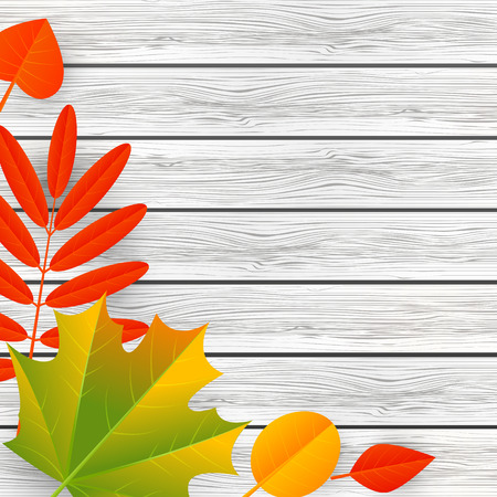 Autumn leaves on wooden backgroundのイラスト素材