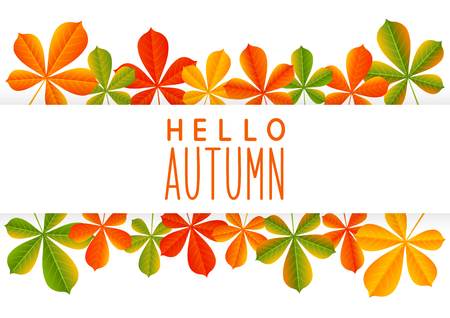 Autumn leaves border for Your designのイラスト素材