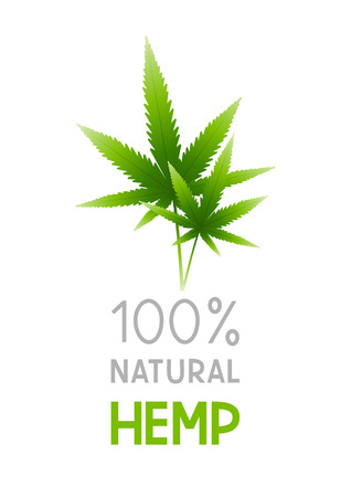 Green hemp leaves isolated on white backgroundのイラスト素材