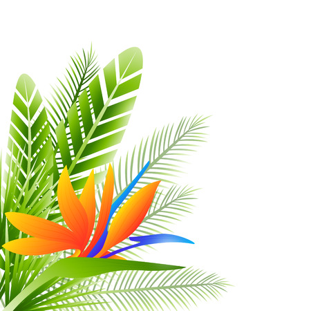 Tropical leaves bouquet for your summer designのイラスト素材