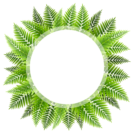 Green fern leaves round frameのイラスト素材