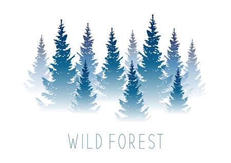 Forest background with coniferous trees - horizontal landscape for Your designのイラスト素材