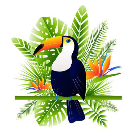 Bright toucan bird with tropical leaves and flowers - for Your summer designのイラスト素材
