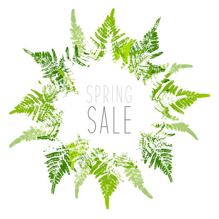 Bouquet of fern leaves isolated on white backgroundのイラスト素材