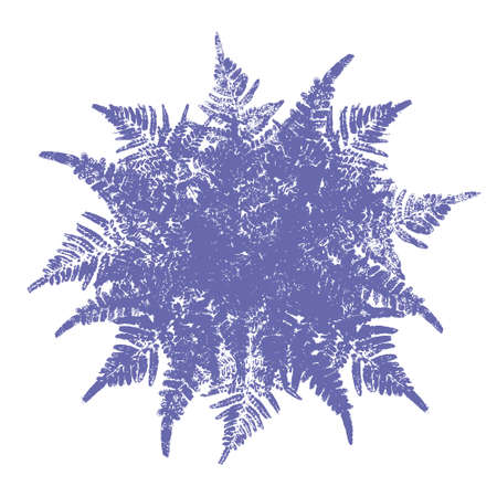 Bouquet of fern leaves isolated on white backgroundのイラスト素材