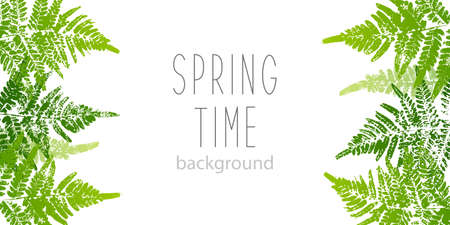 Horizontal banner with fern leaves paint prints isolated on white backgroundのイラスト素材