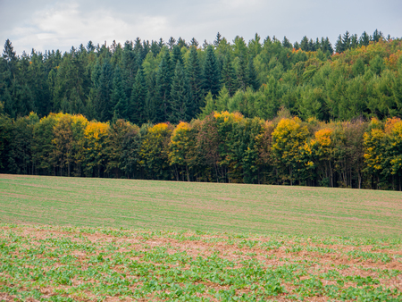 Autumn landscape with tree front and colorful leaves and fields and meadowsの写真素材