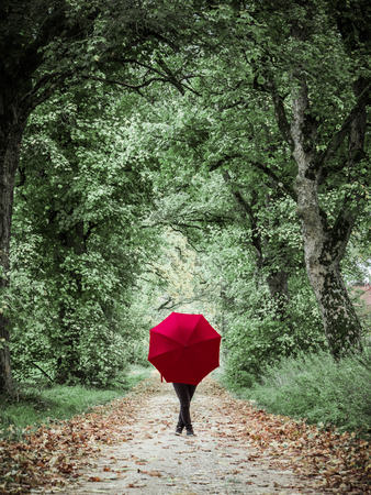 Abstract setting of a Woman with red umbrella posing in the autumn landscapeの写真素材