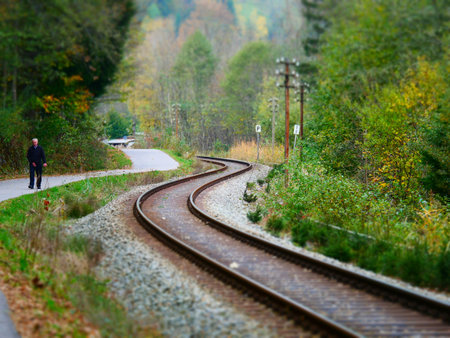 Tilt shift image of winding railroad tracks in autumn