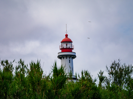 Image of red and white lighthouse during day timeの写真素材