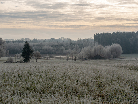 Image of romantic winter landscape after the first snow in Decemberの写真素材