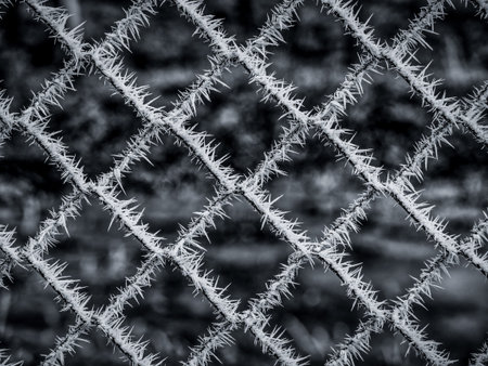 Image of frozen barbed wire in the winter with ice crystals