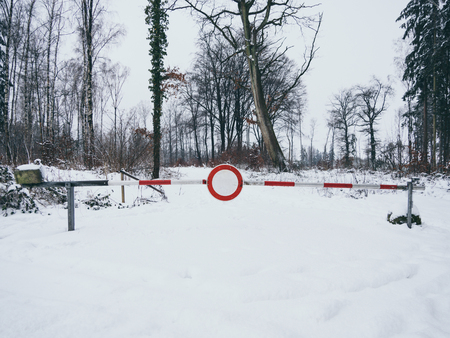 Image of road barrier in the winter in the forestの写真素材