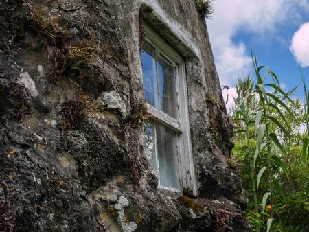 Image of window in old brick wallの写真素材