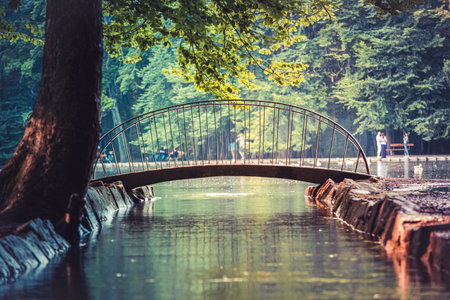Image of little foot bridge over lake during sunset