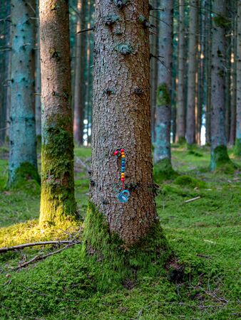 Pacifier on colorful chain fixed at the bark of a tree in a forsestの写真素材