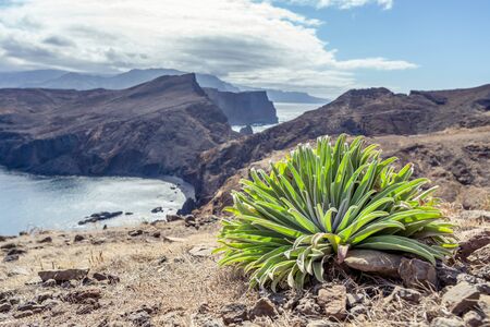 Panorama view on island in the atlantic sea, Ponta de sao laurence, Madeira, Portugalの写真素材