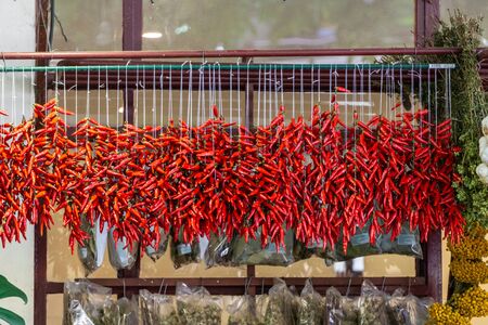Red chili pepper chain hanging to dry in a market placeの写真素材