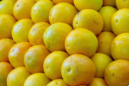 Macro photo citrus fruit lemons. Stock photo yellow lemon fruits, close upの写真素材