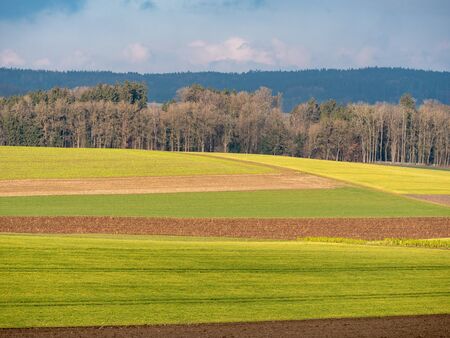 Agricultural image with cultivated fields in a rural landscapeの写真素材