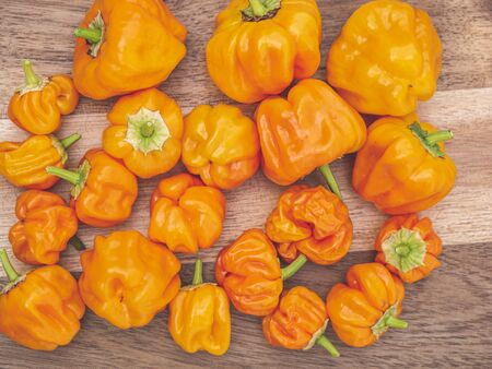 Bunch of orange Habanero chili on wooden background.の写真素材