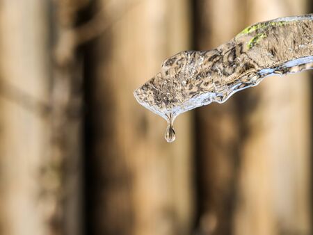 Melting ice with water drop on blurry background, Close up.の写真素材