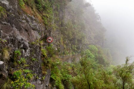 Foggy hiking path in the forest in Levada do Caldeirao Verde Trail, Madeira island, Portugal.の写真素材
