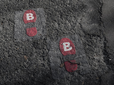 Footprints on the road
