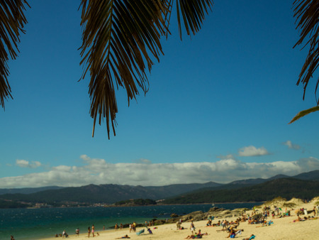 Palm Tree and People on the Beachの写真素材