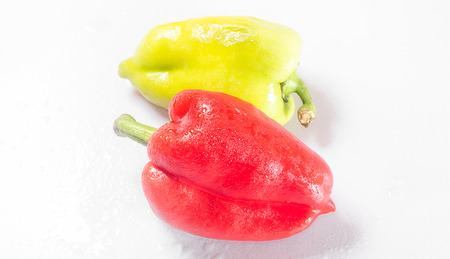 Two peppers green and red on a white background.  View from aboveの写真素材