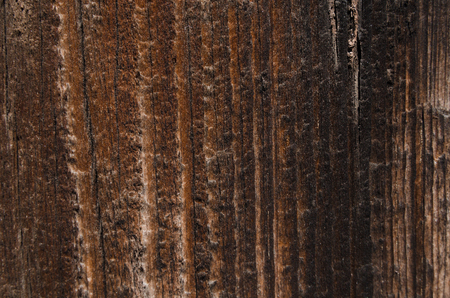 Texture of light brown color. Wrown wood plank wall texture backgroundの写真素材