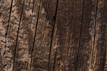 Surface with a wooden texture, natural light color of wood. Vertical linesの写真素材