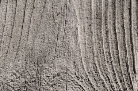 Wooden line texture. Surface of wood texture with natural pattern. Grunge plank wood texture backgroundの写真素材