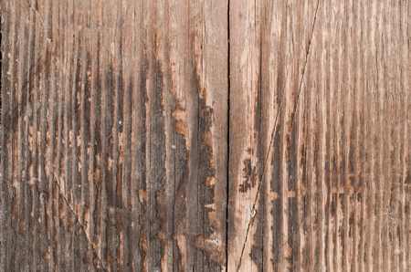 Texture of charred wood, vertical lines of textures, beautiful backgroundの写真素材