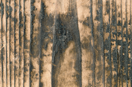 Burnt surface of a wooden board, with yellow shades of colorの写真素材