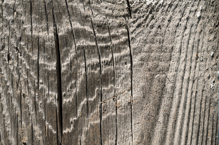 Wooden line texture. Surface of wood texture with natural pattern. Grunge plank wood texture backgroundの写真素材