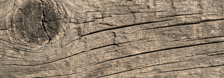 Slice of a wooden board of neutral color, horizontal big size backgroundの写真素材