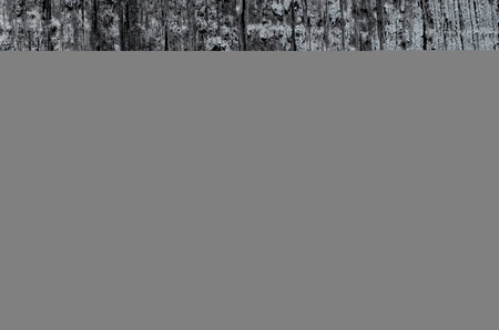 Wood texture blue color on a burned vertical backgroundの写真素材