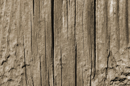 Wood cracked texture, vertical lines, background abstractionの写真素材