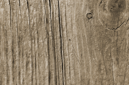 The surface of cut wood wall with vertical lines, background abstractionの写真素材