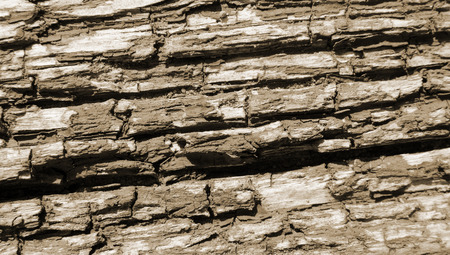 Wood texture with old paint brown colors, horizontal lines, backgroundの写真素材