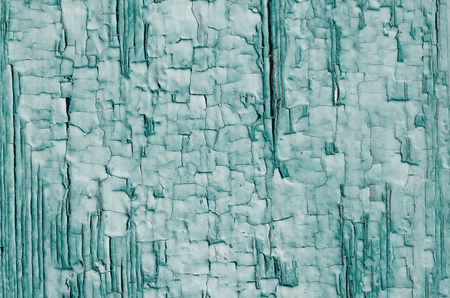 The texture of the old cracked green paint on woodの写真素材