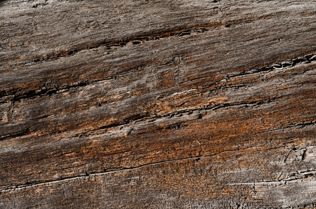 The texture is an old brown wooden board with large cracks. Horizontal photo, wallpaperの写真素材