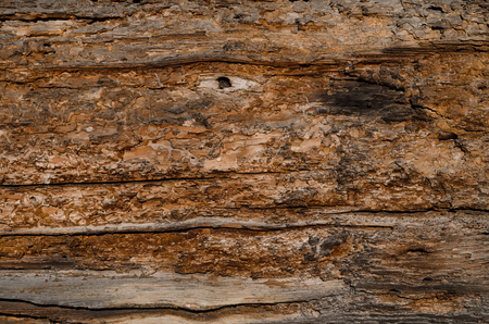 Texture very old wooden boards brown with dark spots, scaly, shows many layers. Horizontal photo, wallpaperの写真素材