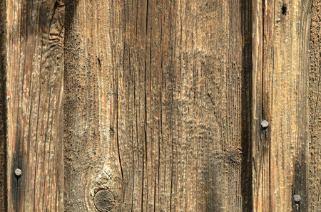 Wooden board without paint with iron nails, texture. Wallpaper, backgroundの写真素材