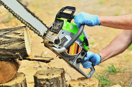 A man saws chainsaws from a tree, works in mittensの写真素材