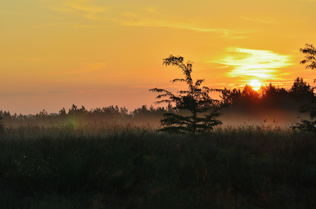 Dawn in the middle of the steppe, red sky. Fog on the grassの写真素材